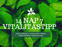 A Pécsimami új energiasorozata Csillával! Töltődj velünk Te is!